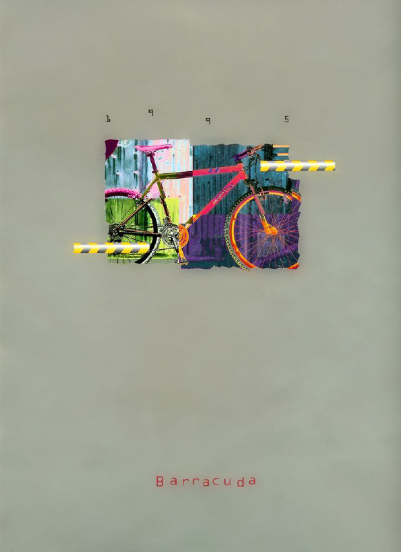Consumer Catalog – 1995